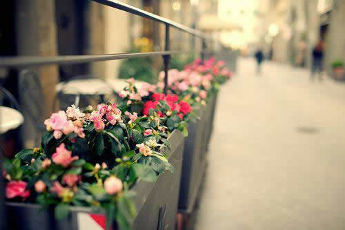 容易引起人注意的昵称