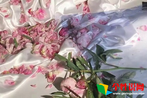 关于惊蛰的祝福短句