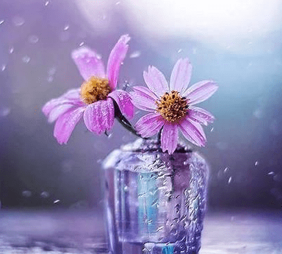 好听有诗意的古风网名