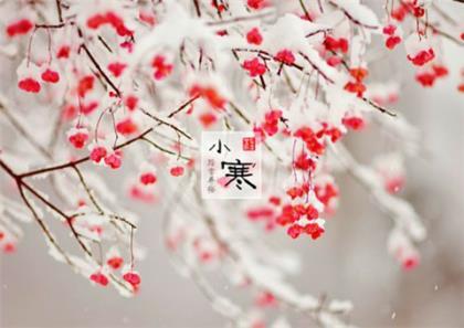 qq搞笑个性签名2021最新版 有些人不必在乎